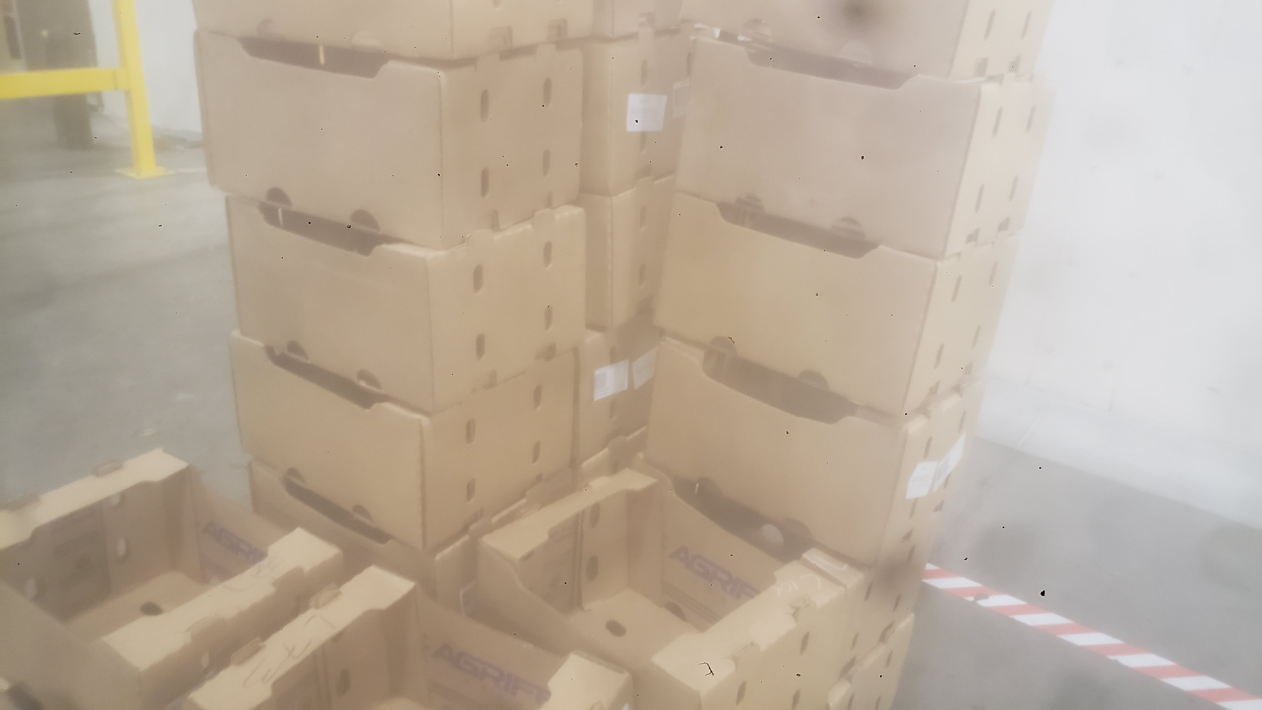 Stacks of agricultural cardboard trays.